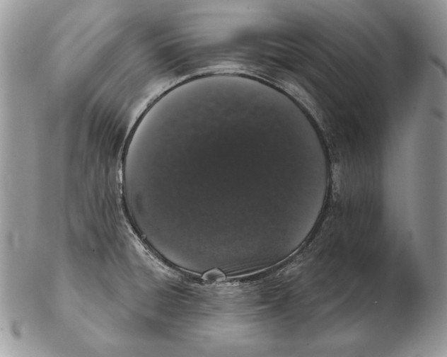 X0000102401428200808221837