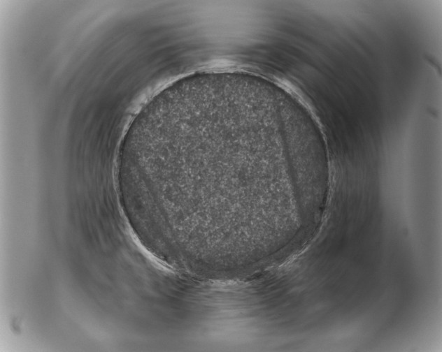 X0000102401429200808221838