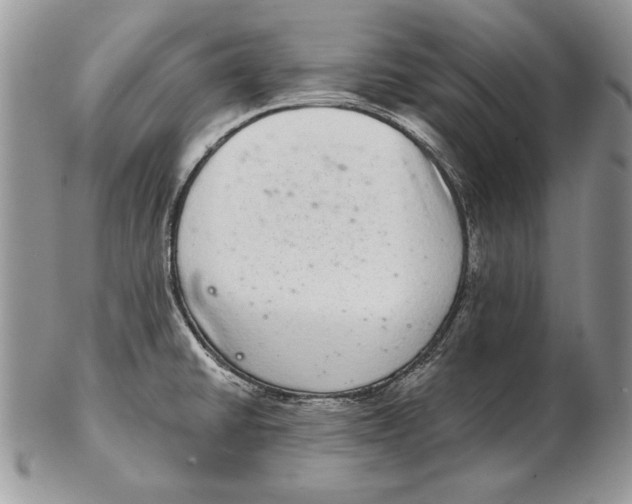 X0000102401430200808221838