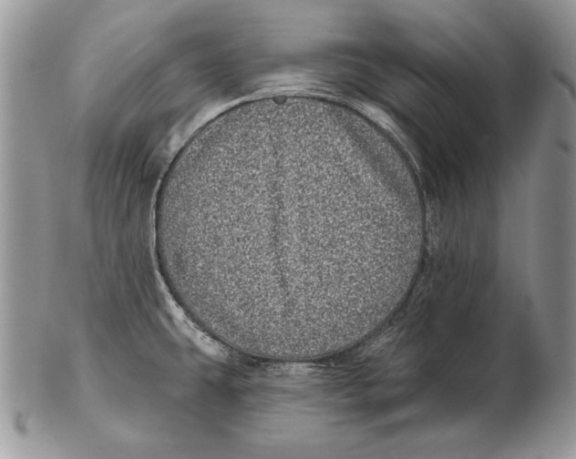 X0000102401431200808221838