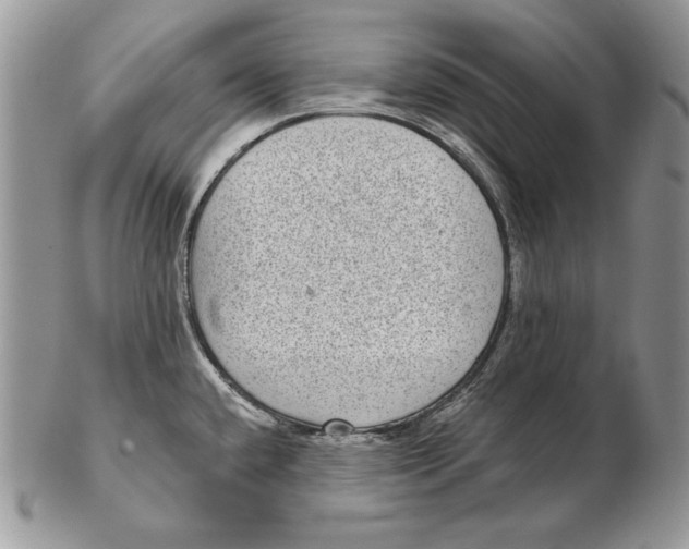 X0000102401432200808221838