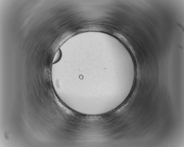 X0000102401433200808221838