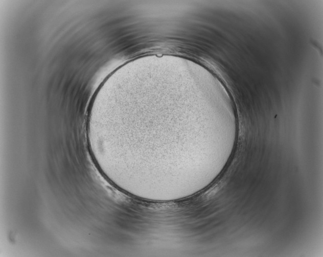 X0000102401434200808221838