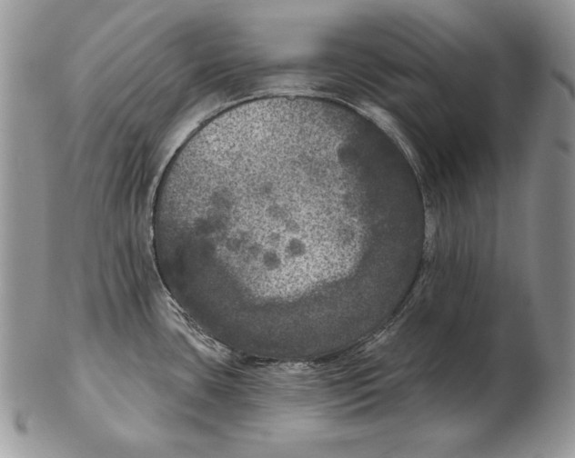 X0000102401435200808221838