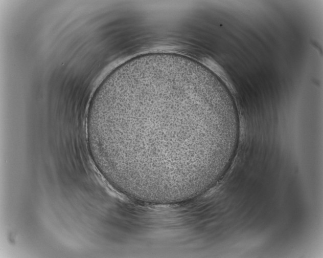 X0000102401436200808221838