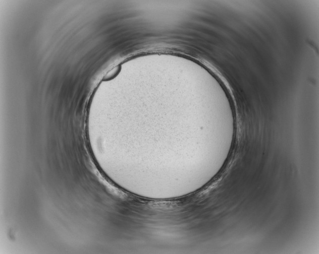 X0000102401437200808221838