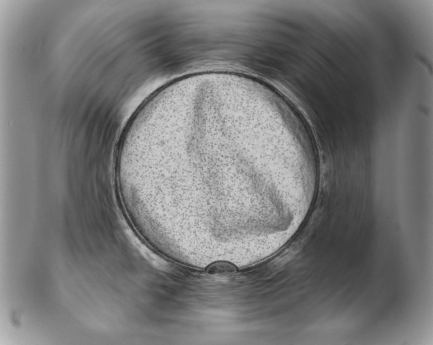 X0000102401438200808221838