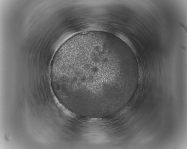 X0000102401439200808221838