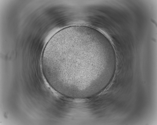 X0000102401440200808221838