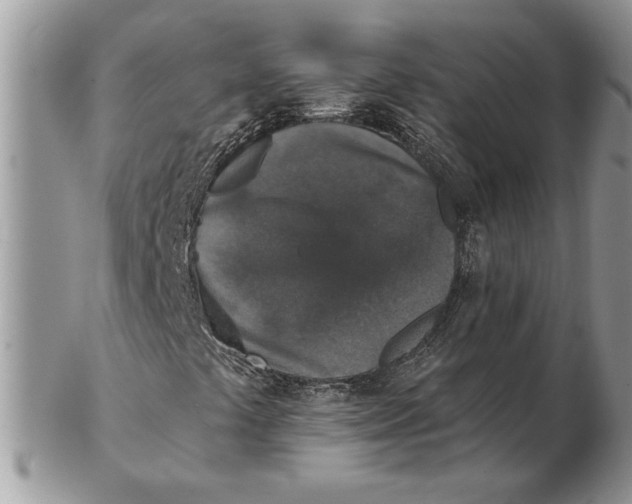 X0000102401441200808221837