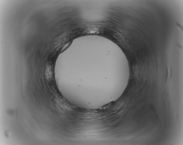 X0000102401442200808221837