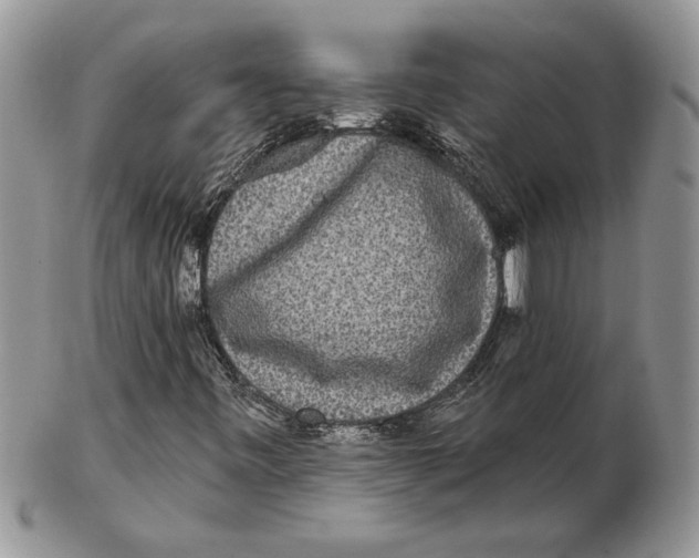 X0000102401443200808221837