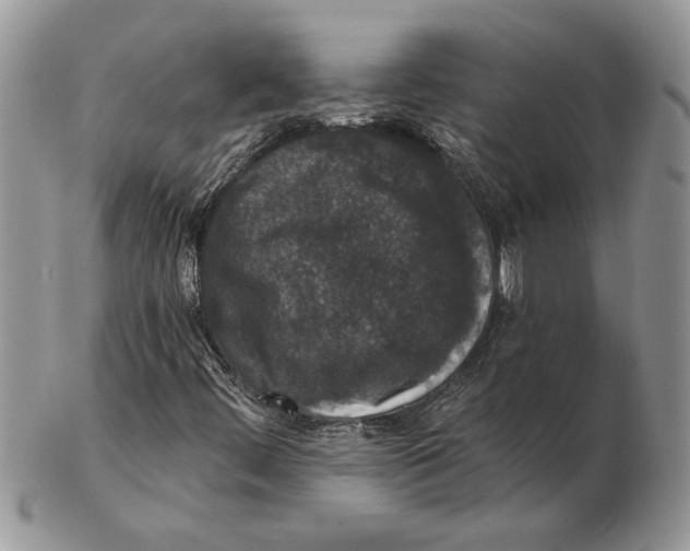 X0000102401444200808221837