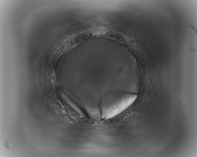 X0000102401445200808221837