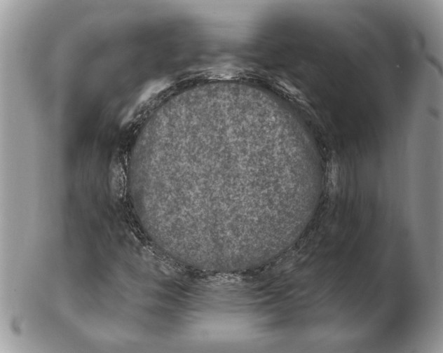 X0000102401446200808221837