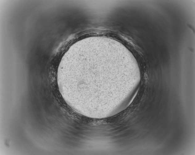 X0000102401447200808221837