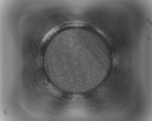 X0000102401448200808221837