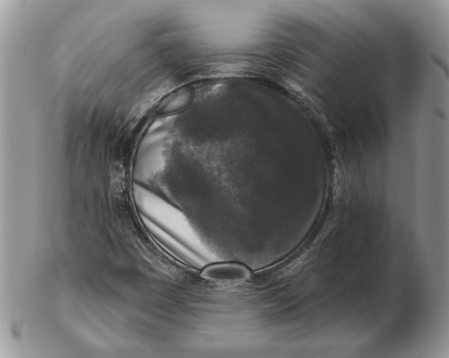 X0000102401449200808221837