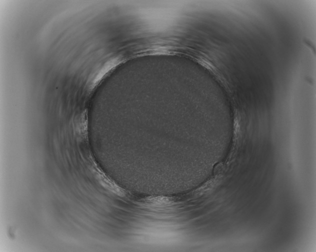 X0000102401450200808221837