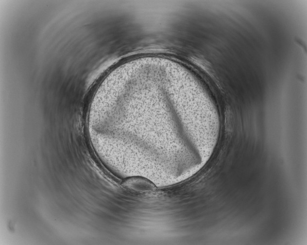 X0000102401452200808221837