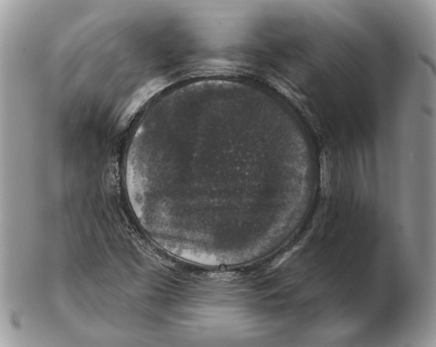 X0000102401453200808221837