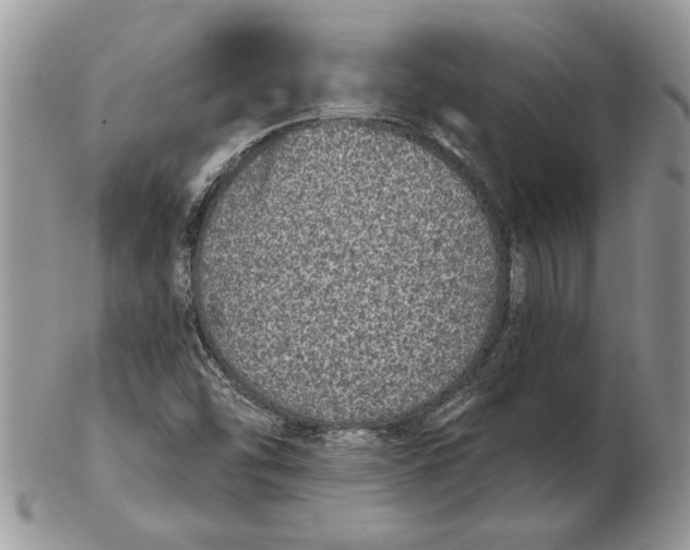 X0000102401454200808221837