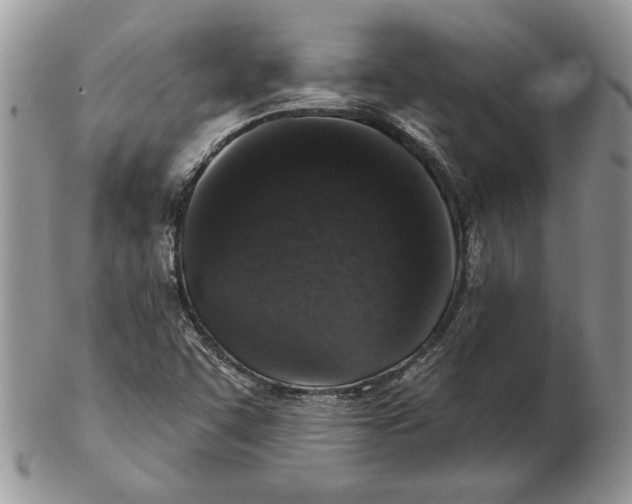 X0000102401455200808221837