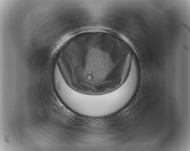 X0000102401456200808221837