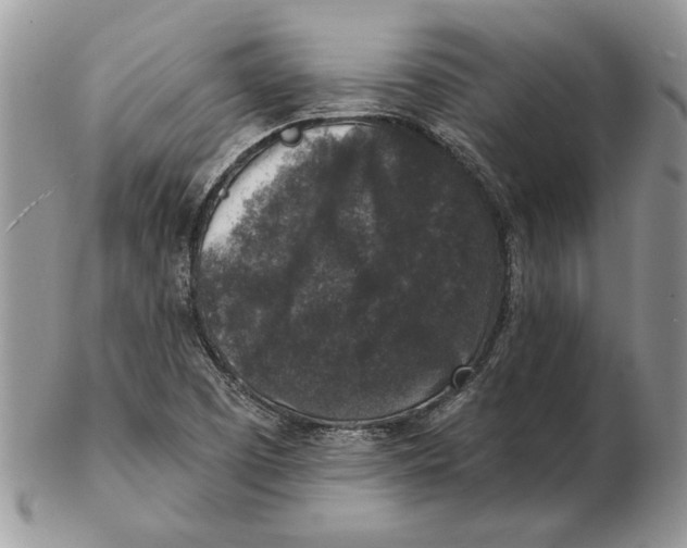 X0000102401457200808221837