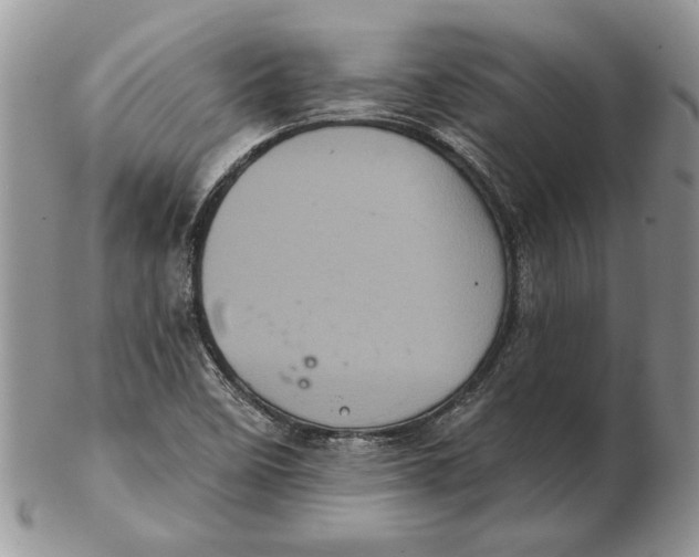 X0000102401458200808221837