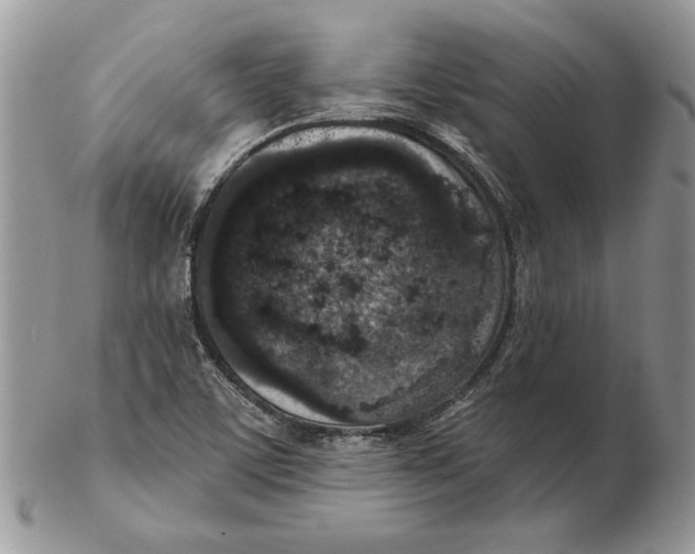 X0000102401459200808221837