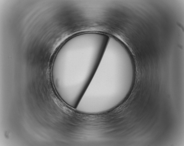 X0000102401460200808221837