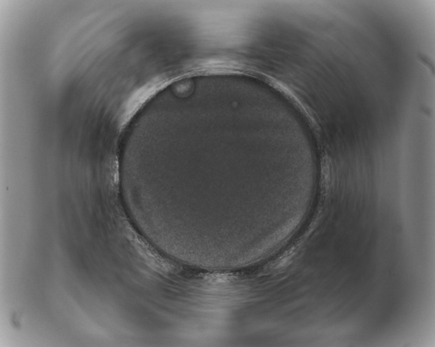 X0000102401461200808221837