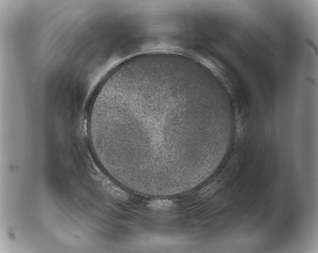 X0000102401462200808221837