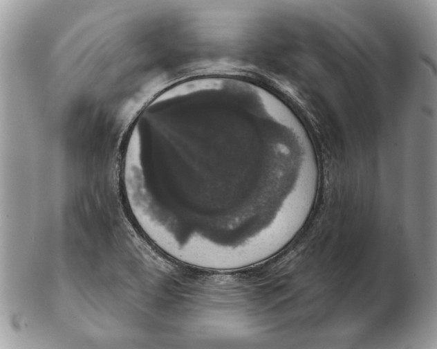 X0000102401463200808221837