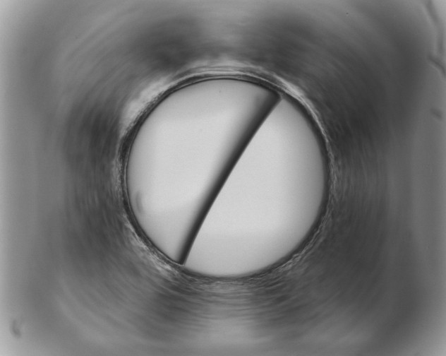 X0000102401464200808221837