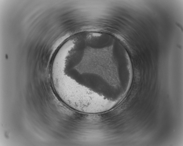 X0000102401466200808221837