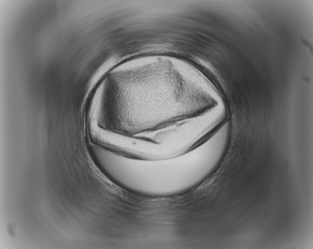 X0000102401467200808221837