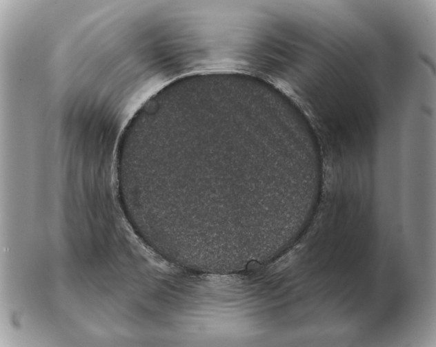 X0000102401469200808221837