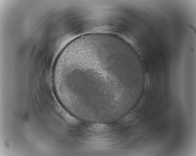 X0000102401470200808221837