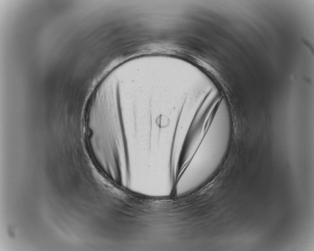 X0000102401471200808221837