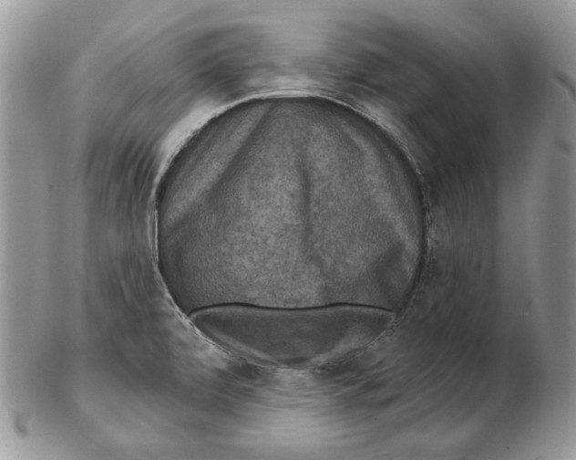 X0000102401472200808221837