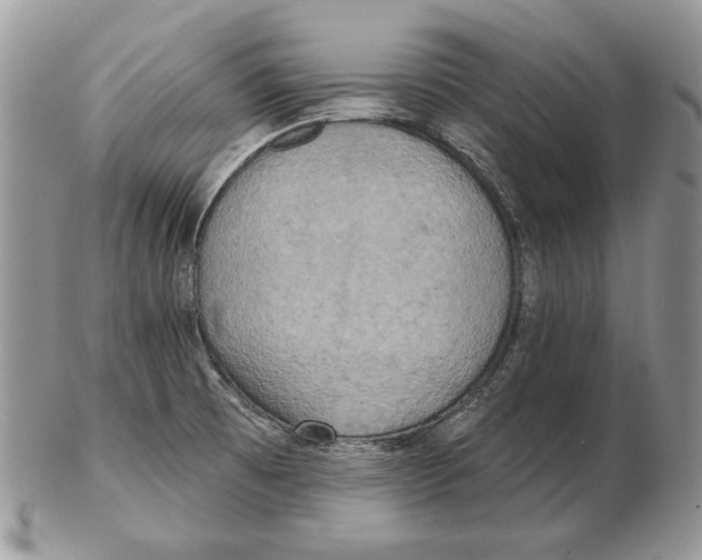 X0000102401473200808221837