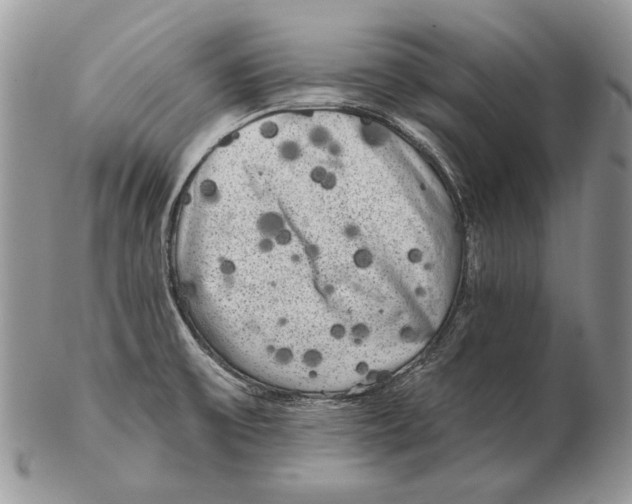 X0000102401475200808221837