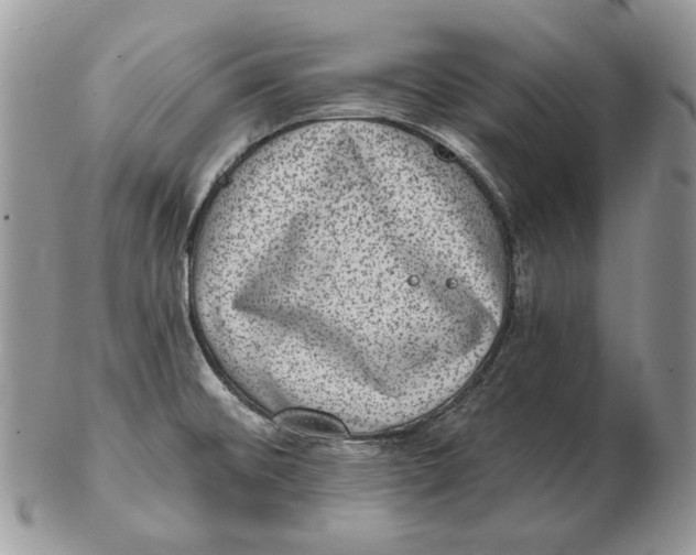 X0000102401476200808221837