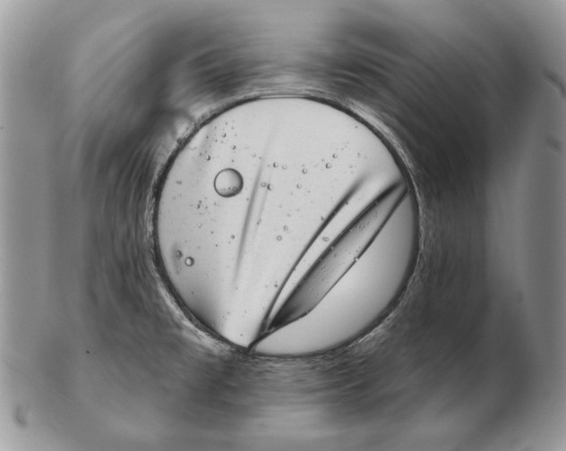 X0000102401477200808221837