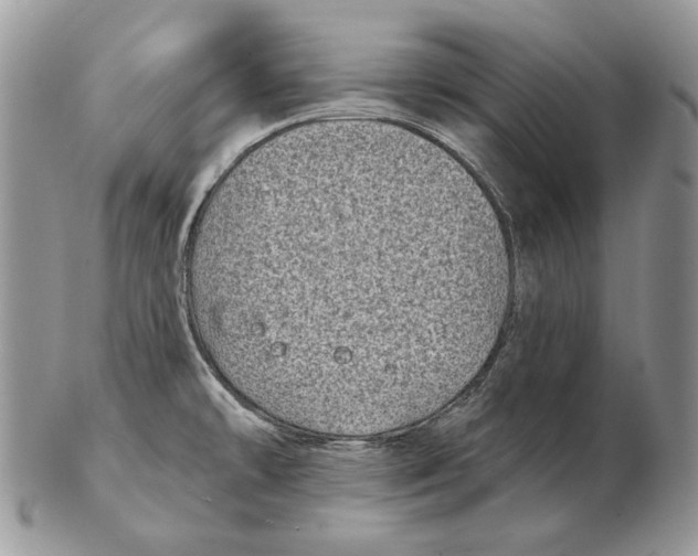 X0000102401478200808221836