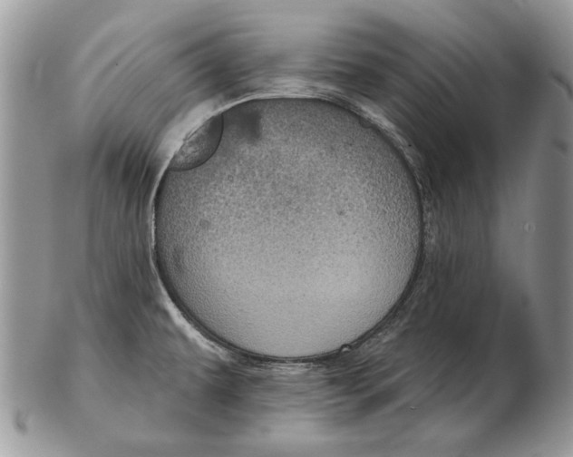 X0000102401479200808221836