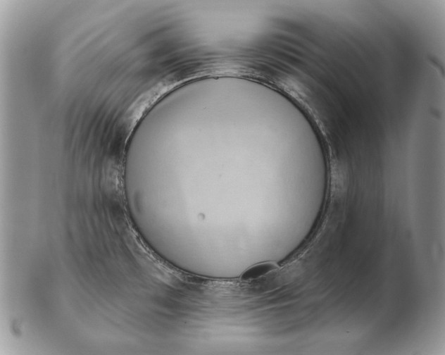 X0000102401481200808221836