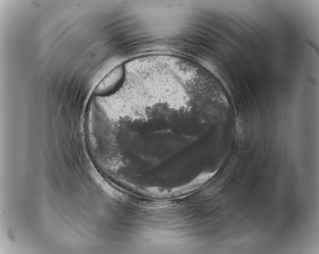 X0000102401482200808221836